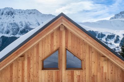 Winter Siding Challenges